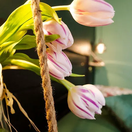 Eterna Bed & Breakfast 4*