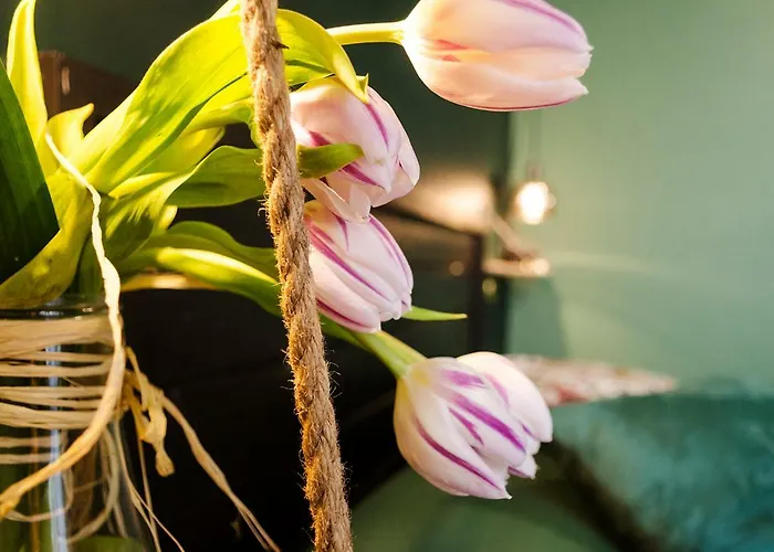 Eterna Bed & Breakfast 4*